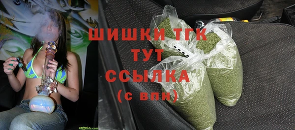 ГАЛЛЮЦИНОГЕННЫЕ ГРИБЫ Карталы