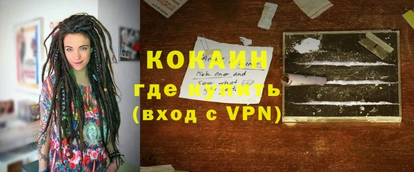 apvp Каменка