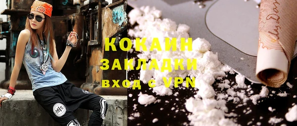 apvp Каменка